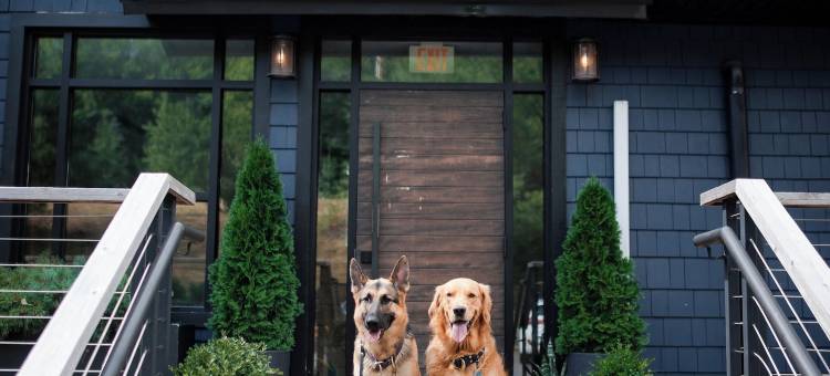 东风温德姆(Eastwind)图片