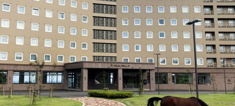东横INN 对马比田胜(Toyoko Inn Tsushima Hitakatsu)图片
