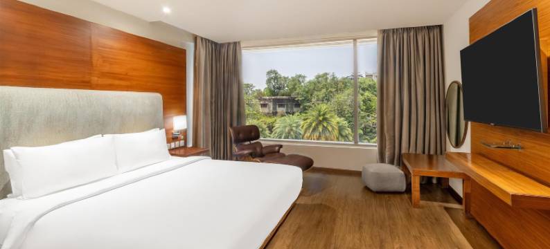 海得拉巴班加拉山丽笙世嘉酒店(Radisson Blu Plaza Hotel Hyderabad Banjara Hills)图片