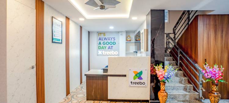 Treebo KT Grand图片