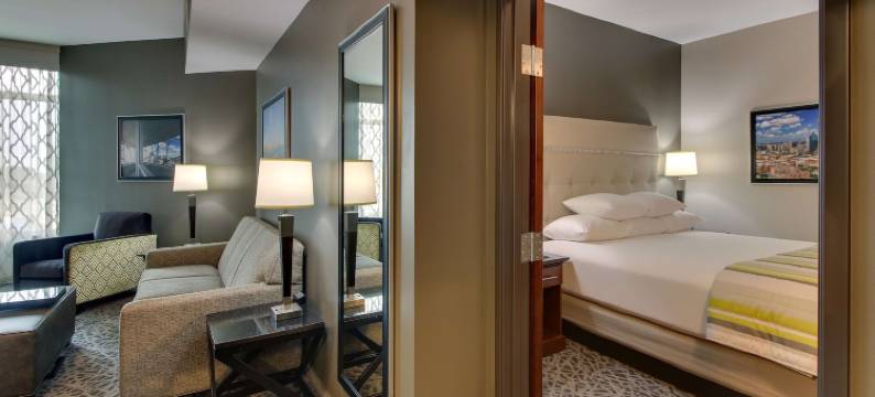 达拉斯理查森德鲁里广场酒店(Drury Plaza Hotel Dallas Richardson)图片