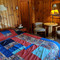 松树汽车旅馆暨小屋