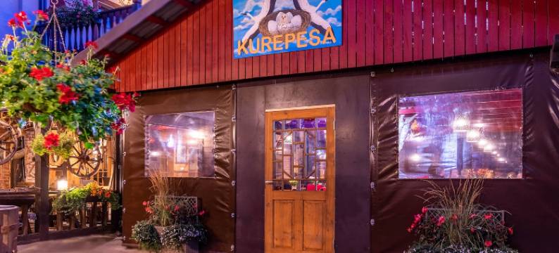 汉莎酒店(Hansa Hotel)图片