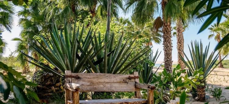 La Poza精品酒店和Spa(La Poza Boutique Hotel & Spa - Adults Only)图片