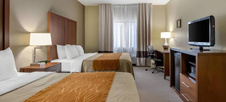 莫林-阔德城舒适酒店(Comfort Inn Moline - Quad Cities)图片