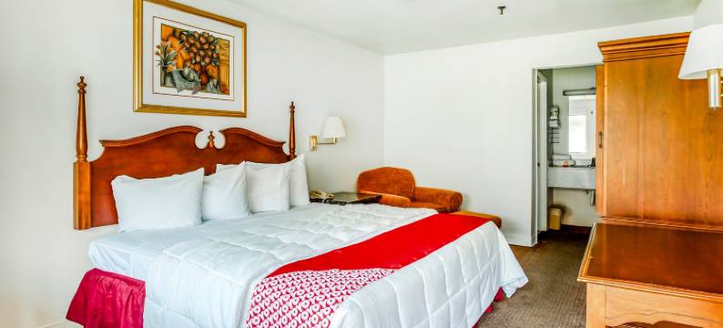 OYO圣安东尼奥东酒店(OYO Hotel San Antonio East)图片