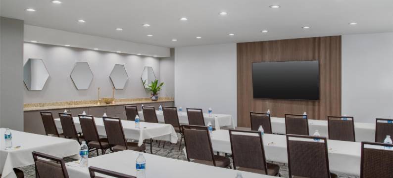 阿林顿北娱乐区欢朋套房酒店达拉斯(Hampton Inn & Suites Dallas-Arlington North-Entertainment District)图片