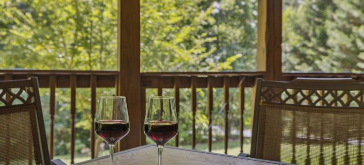 舒适的小屋，带电动车充电器、火坑和床秋千(Chasing Cubs Cabin by Beyond Expectations)图片