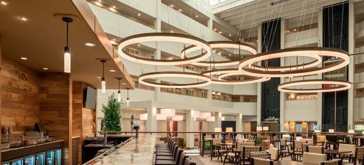 布鲁克菲尔德密尔沃基希尔顿安泊酒店(Embassy Suites by Hilton Milwaukee Brookfield)图片