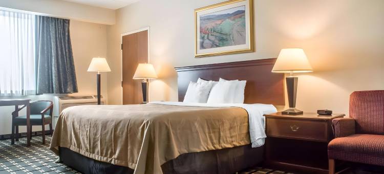 棕榈岛室内水上公园品质酒店套房(Quality Inn & Suites Palm Island Indoor Waterpark)图片