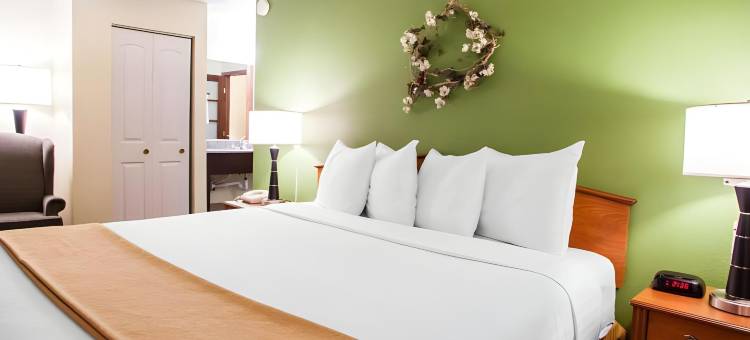 博林布鲁克I-55品质酒店(Quality Inn Bolingbrook I-55)图片