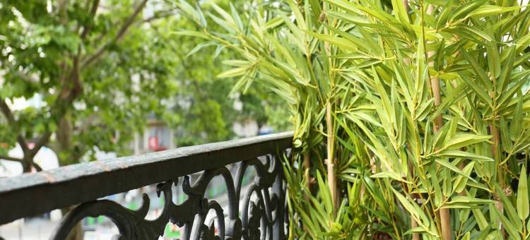 Charming apartment District Beaubourg Le Marais图片