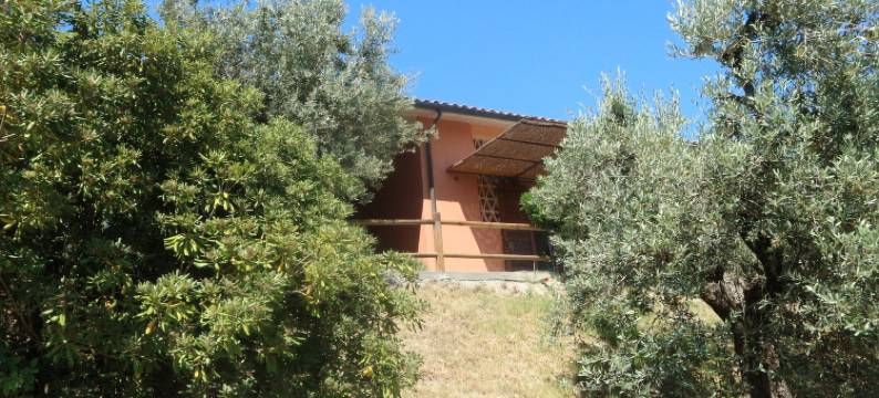 Pet-Friendly Getaway, Castagneto Carducci图片