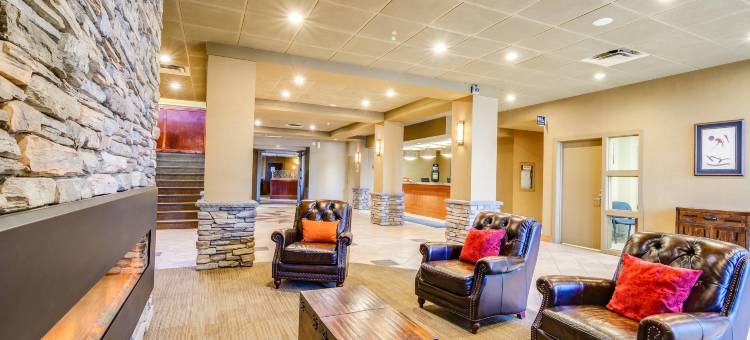 品质酒店及会议中心(Quality Hotel & Conference Centre)图片