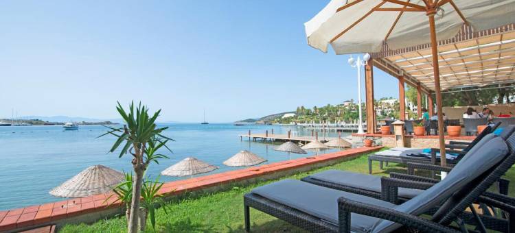 Costa Luvi酒店(音译)(COSTA LUVİ HOTEL)图片