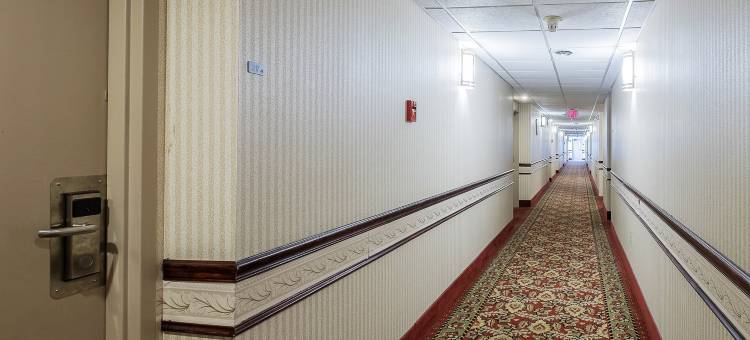 哈特福德-弗农红顶酒店(Red Roof Inn Hartford - Vernon)图片