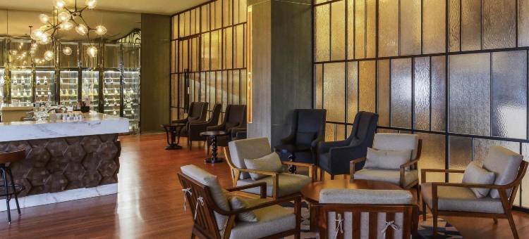 佩坎巴鲁诺富特酒店(Novotel Pekanbaru)图片