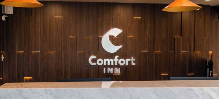 布吉姆比利亚酒店(Hotel Bugambilia)图片