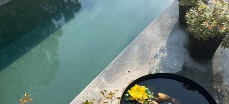 锡尔克堡蜿蜒民宿(Winding B&B Silkeborg)图片