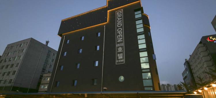 天安诺布莱斯酒店(Cheonan Noblesse Hotel)图片