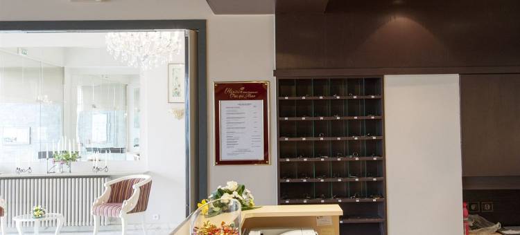 阿勒克桑餐厅及康体中心酒店(Alexain Hotel Restaurant & Wellness - Colmar Ouest)图片