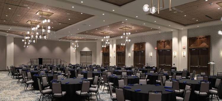 麦坎姆利广场酒店(DoubleTree by Hilton Battle Creek)图片