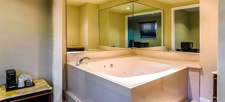 罗德威酒店及套房休斯顿靠近医疗中心(Rodeway Inn & Suites Houston Near Medical Center)图片