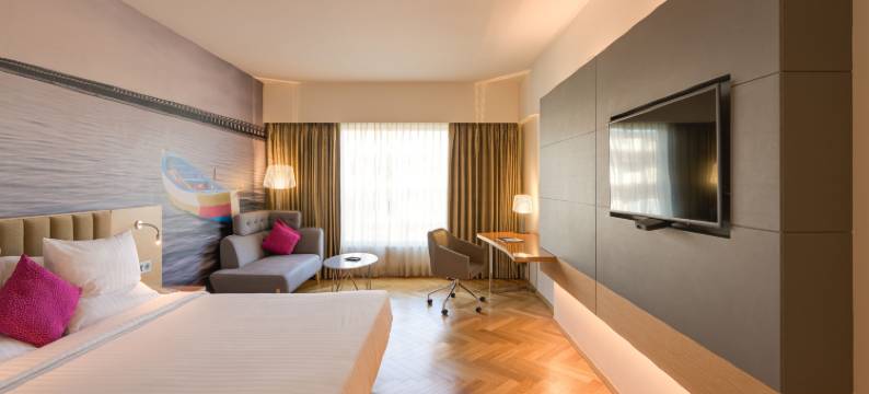 诺富特维加亚瓦达瓦伦酒店(Novotel Vijayawada Varun)图片