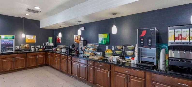 丹佛机场凯艺套房酒店-盖特威公园(Quality Inn and Suites Denver Airport - Gateway Park)图片