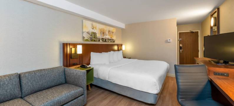 舒适酒店-南岸(Comfort Inn South Shore)图片