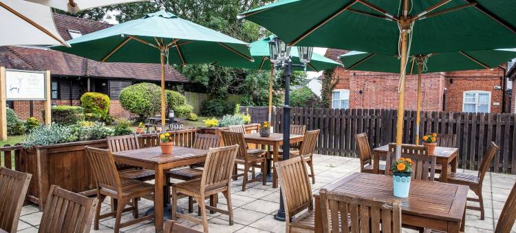 白鹿 - 格林国王旅馆(White Hart by Chef & Brewer Collection)图片