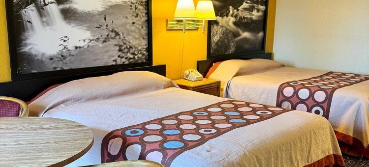 超级旅馆(Super Inn)图片