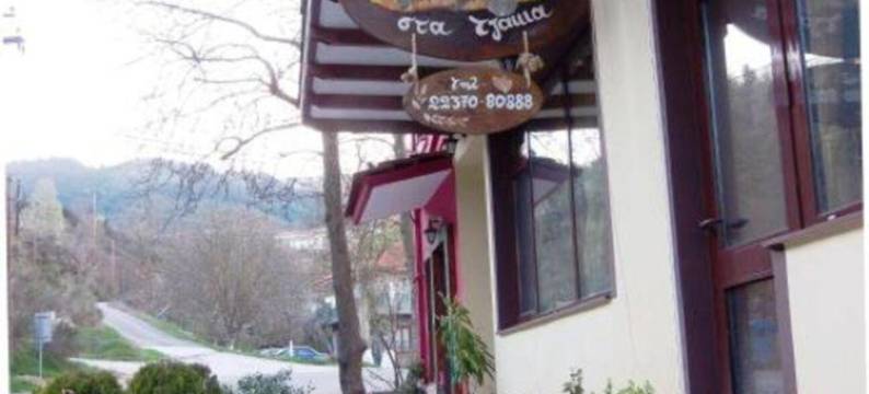 司诺娜斯特萨克伊酒店(Xenonas Sta Tzakia)图片