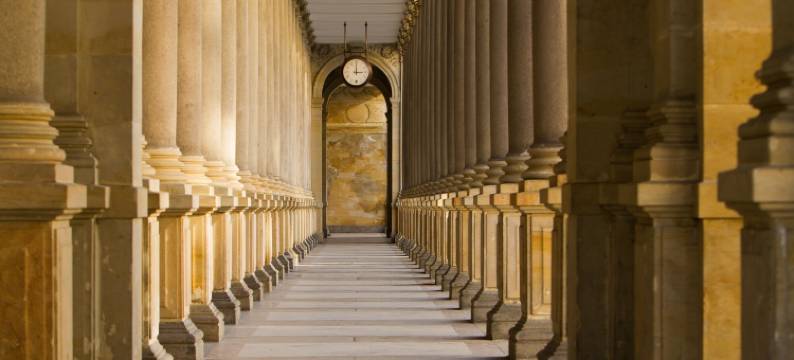 德弗拉克水疗养生酒店(Dvorak Spa & Wellness)图片