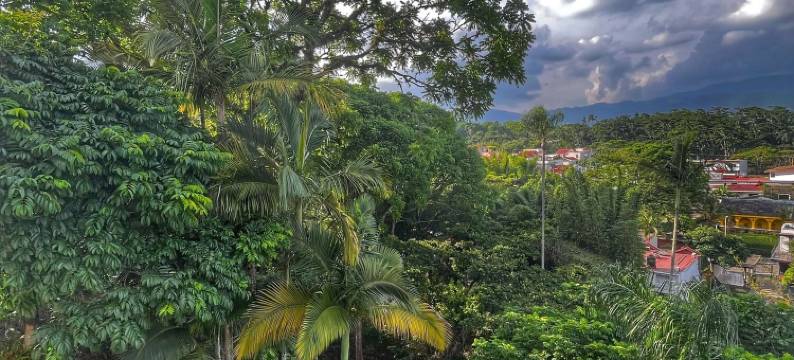 科多巴舒适酒店(Comfort Inn Córdoba)图片