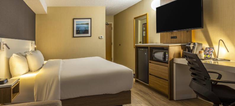 舒适酒店(Comfort Inn)图片