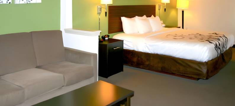 史东尼溪-圣彼得堡南舒眠套房酒店(Sleep Inn & Suites Stony Creek - Petersburg South)图片