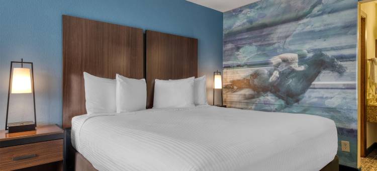 胜者圈贝斯特韦斯特酒店(Best Western Winners Circle)图片