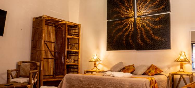 圣巴托罗酒店庄园(Hotel Hacienda San Bartolo)图片