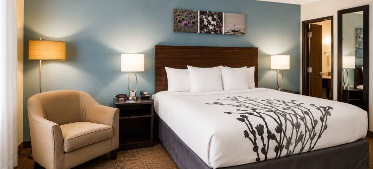 舒眠套房旅馆休斯敦Westchase-小西贡(Sleep Inn & Suites Houston Westchase - Little Saigon)图片