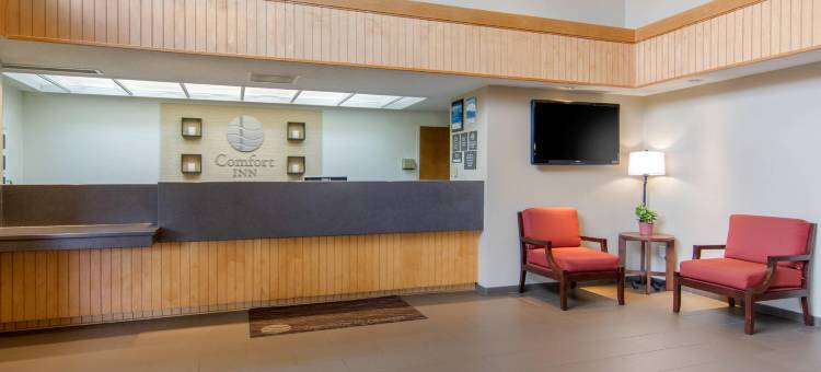 里士满南切斯特舒适酒店(Comfort Inn Chester - Richmond South)图片