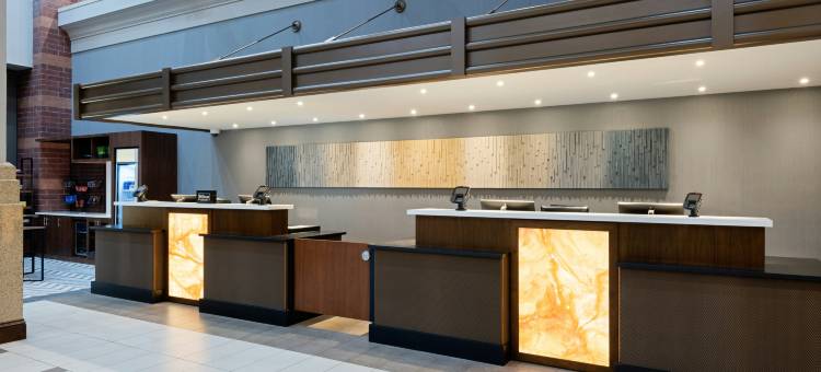 芝加哥市市区北岸希尔顿安泊酒店(Embassy Suites by Hilton Chicago Downtown River North)图片