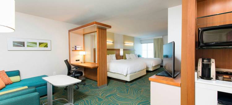 休斯敦舒格兰SpringHill Suites酒店(SpringHill Suites Houston Sugar Land)图片