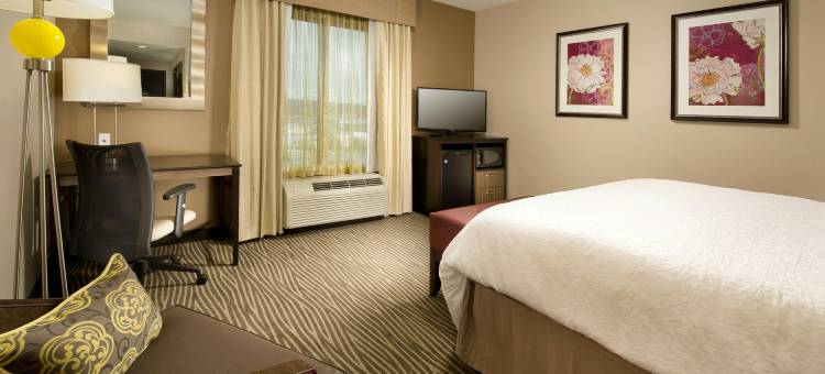 查塔努加/汉密尔顿广场欢朋套房酒店(Hampton Inn & Suites Chattanooga/Hamilton Place)图片