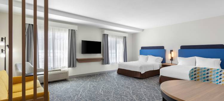 希尔顿欢朋套房酒店-芝加哥迪尔帕克(Hampton Inn & Suites Chicago Deer Park)图片