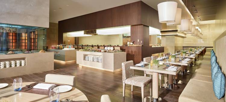 新德里德瓦卡维万塔酒店(Vivanta New Delhi, Dwarka)图片