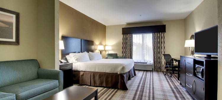 智选假日套房酒店纳奇兹南西(Holiday Inn Express & Suites Natchez South)图片