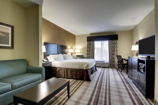 智选假日套房酒店纳奇兹南西(Holiday Inn Express & Suites NATCHEZ SOUTH by IHG)