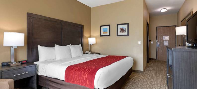 庞卡市附近玛朗德宅邸舒适套房酒店(Comfort Inn & Suites Ponca City Near Marland Mansion)图片