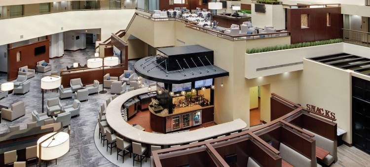 底特律特洛伊奥本山希尔顿大使套房酒店(Embassy Suites by Hilton Detroit Troy Auburn Hills)图片